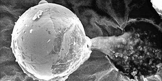 Микроскопический металлический шар, обнаруженный на высоте 27 километров
