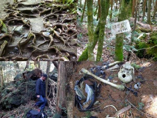 Призраки японского леса самоубийц