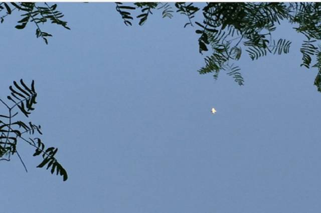 НЛО в форме конуса заснят над Хьюстоном