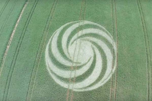 В Германии на поле пшеницы обнаружен закрученный круг