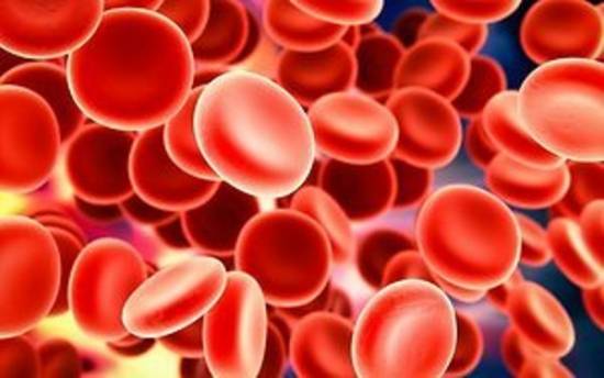 kraujo ląstelės
